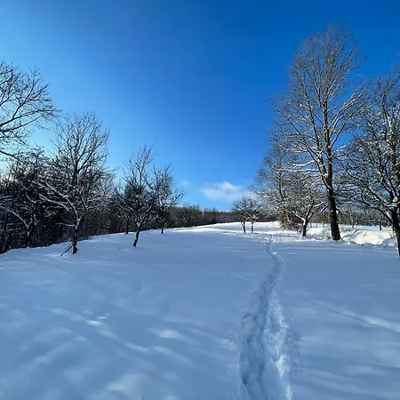 Dom Pod Debem Agroturystyka Konradow  Exterior foto
