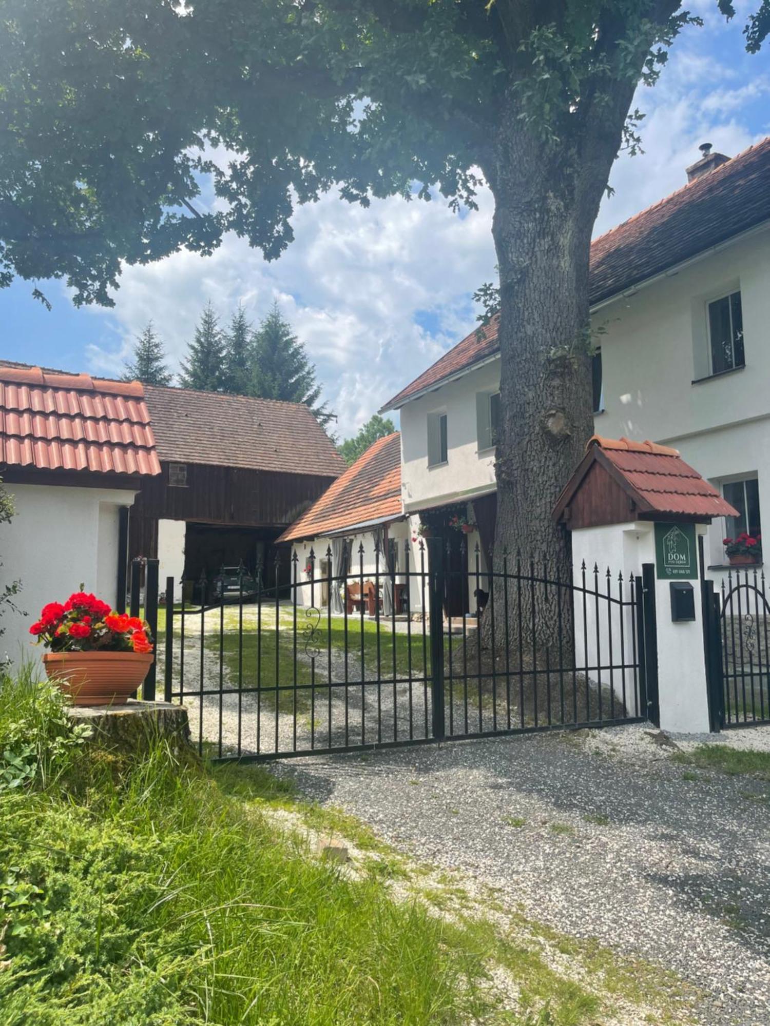 Ferienhaus Dom Pod Debem *