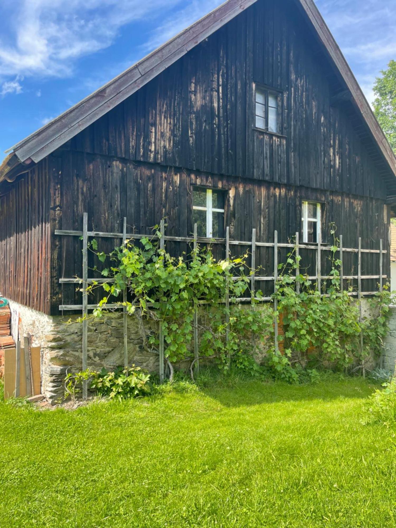 Dom Pod Debem Ferienhaus